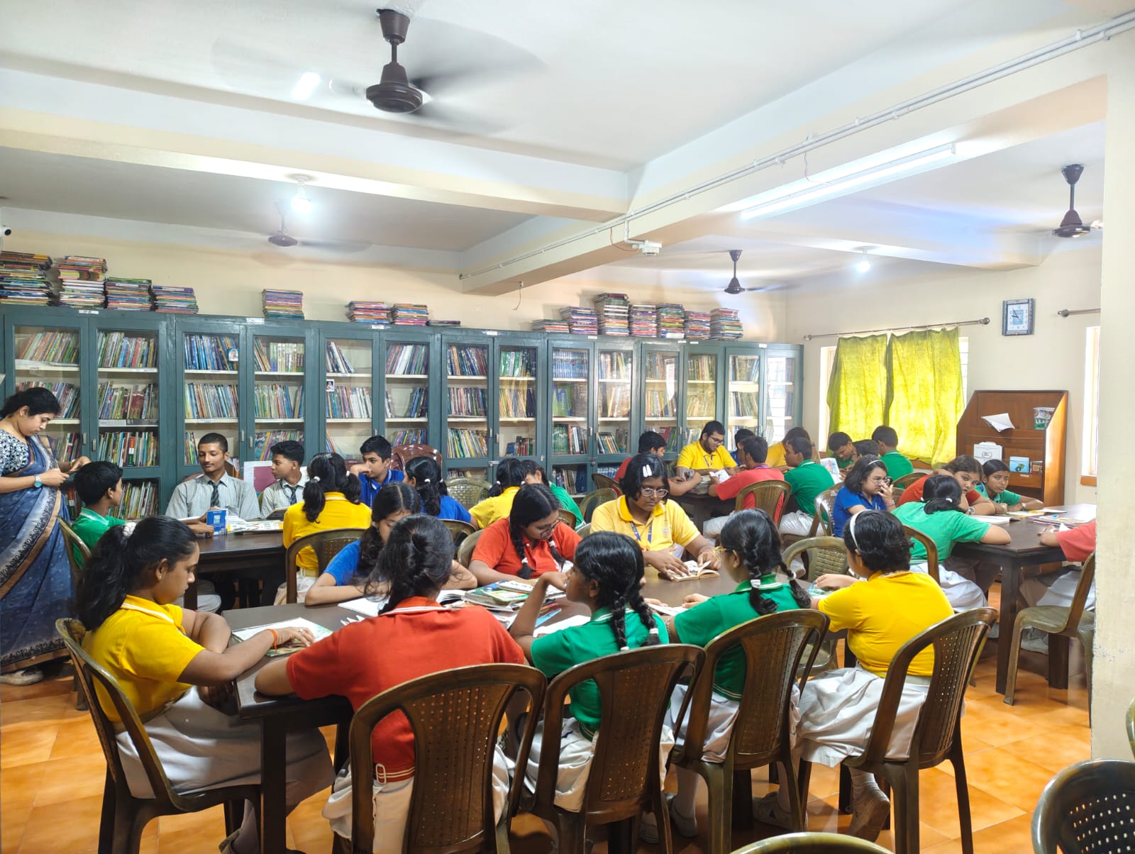 Library view 2